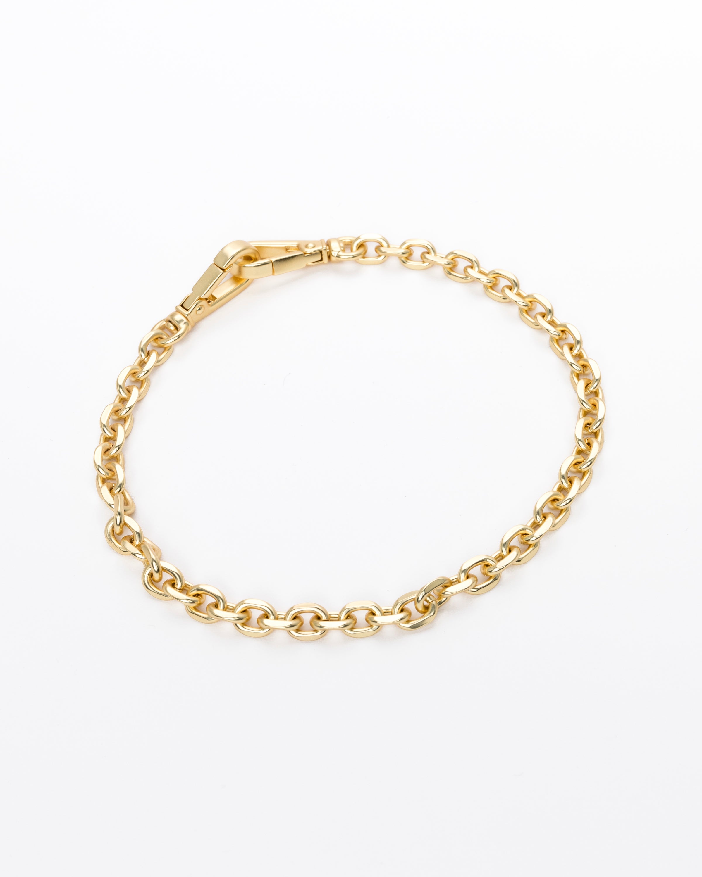 Salad Multipurpose Charm Gold Chain
