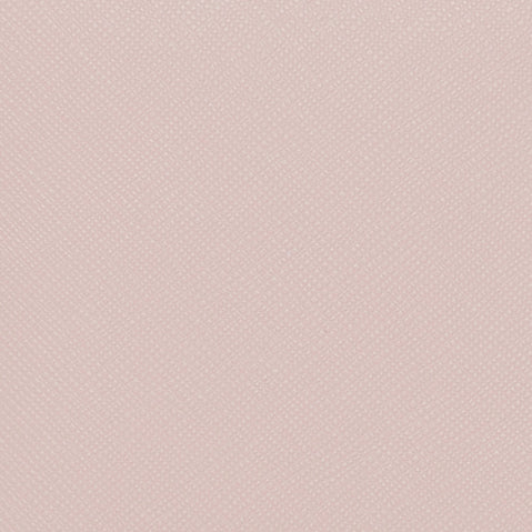 淺粉色,light pink
