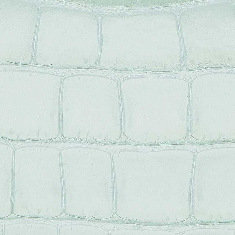 粉綠色鱷花皮,Pastel Green Croc Skin Texture